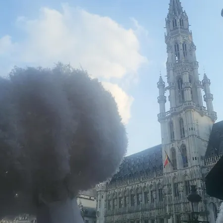 Living אתר קמפינג