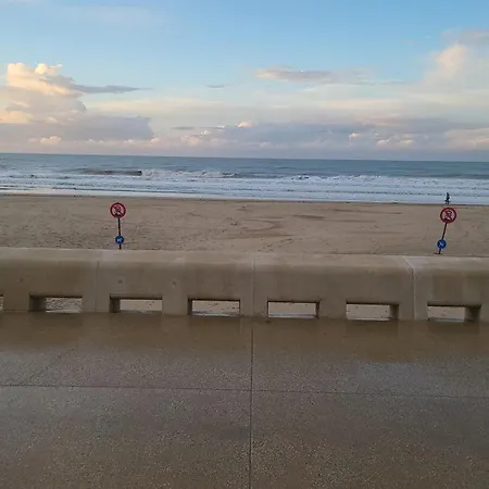 אתר קמפינג Living