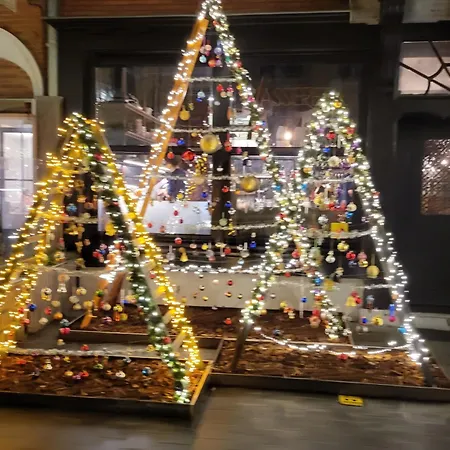 营地 Living 米德尔克尔克