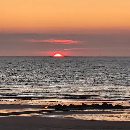 Living אתר קמפינג