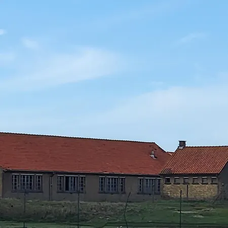 אתר קמפינג Living *