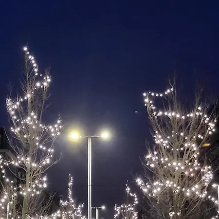 Living אתר קמפינג מידלקרק